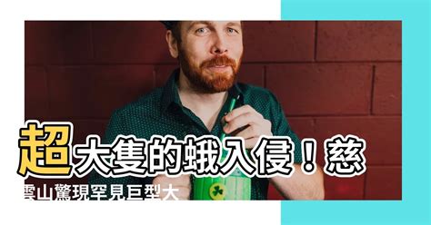 靈堂出現蛾|【靈堂出現蛾】靈堂驚現大量蛾！暗示「兩事」即將發生？